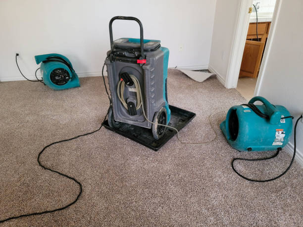 24/7 water damage repair in Antwerp, OH