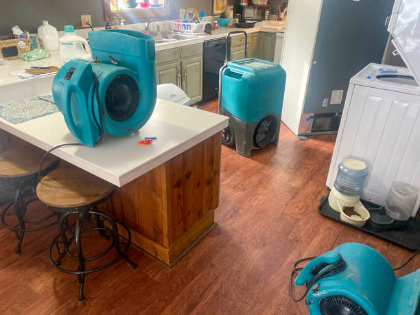 Best Carpet water damage restoration  in Antwerp, OH