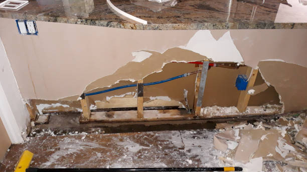 Best Water damage restoration insurance claims  in Antwerp, OH