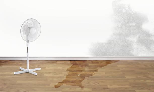 Antwerp, OH Water damage restoration Company