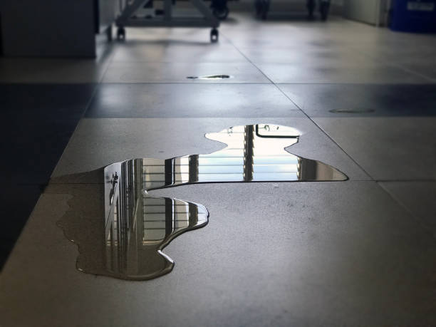 Best Professional water damage repair  in Antwerp, OH