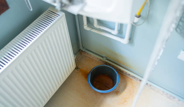 Best Water damage cleanup near me  in Antwerp, OH