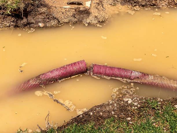 Best Residential water damage restoration  in Antwerp, OH