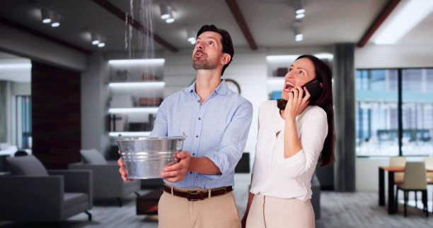 Best Flood damage cleanup  in Antwerp, OH