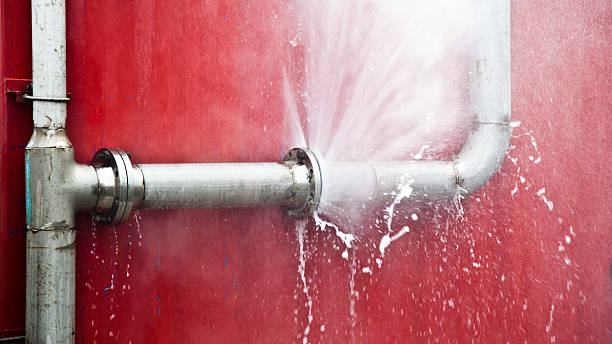 Best Fire Damage Restoration  in Antwerp, OH