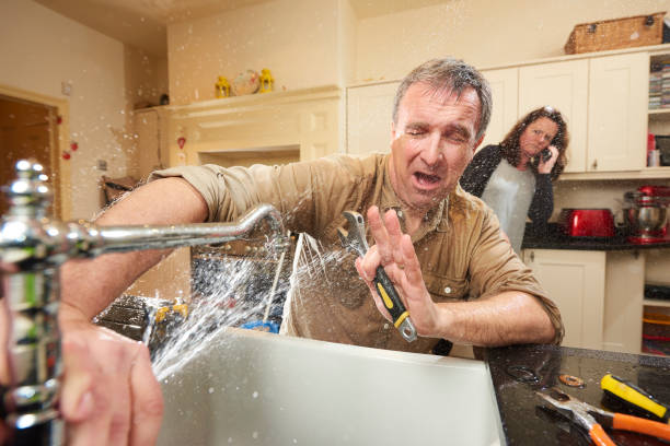 Best 24-hour water damage restoration  in Antwerp, OH